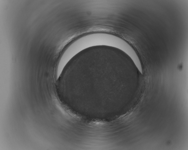 X0000111160352200907211232