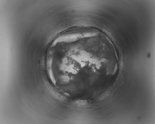 X0000111160353200907211232