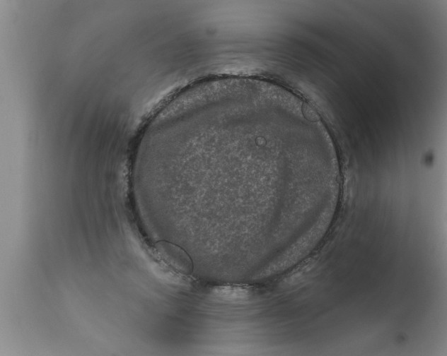 X0000111160354200907211232