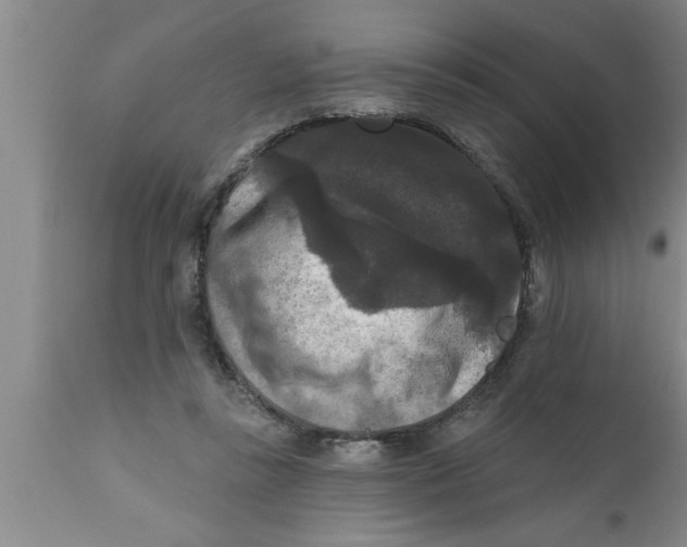 X0000111160355200907211232