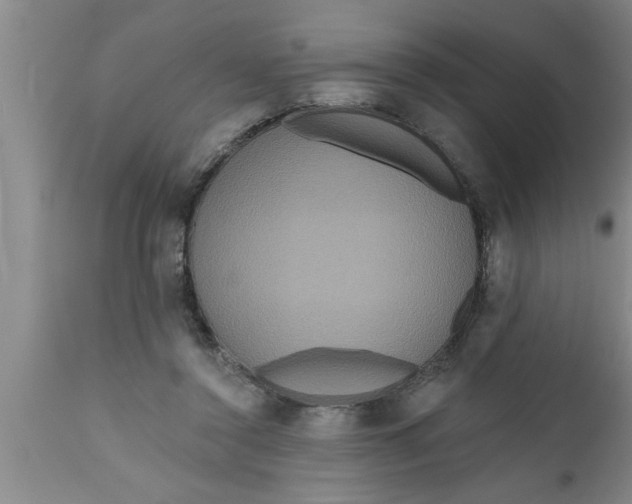 X0000111160356200907211232