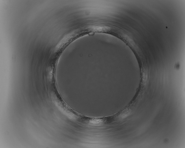 X0000111160357200907211232