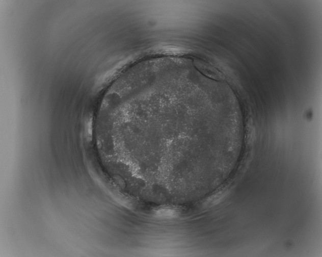 X0000111160358200907211232