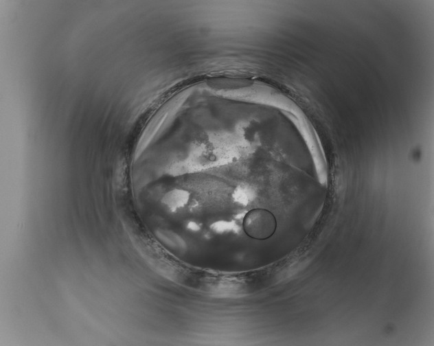 X0000111160359200907211232