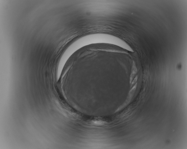 X0000111160360200907211232