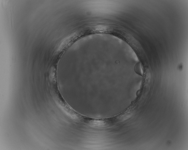 X0000111160361200907211232