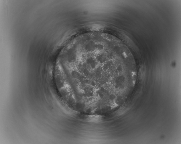 X0000111160363200907211232