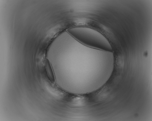 X0000111160364200907211232