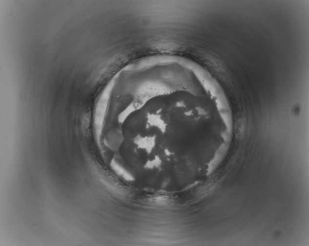 X0000111160365200907211232