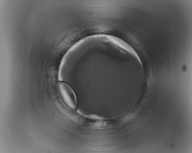 X0000111160366200907211232