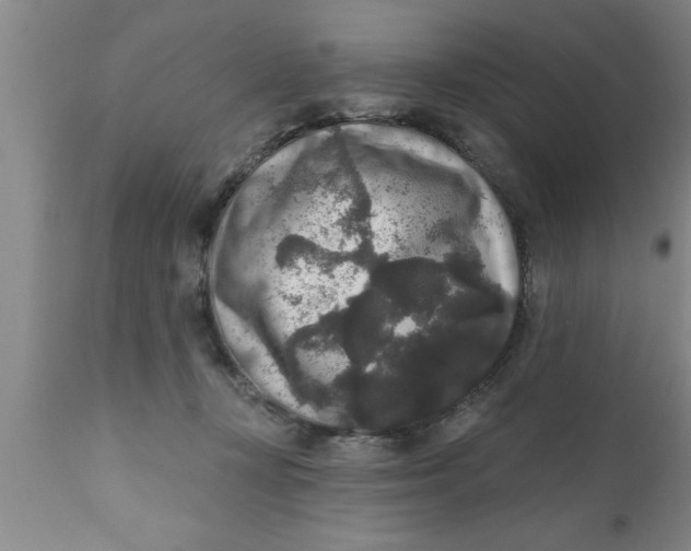 X0000111160367200907211232