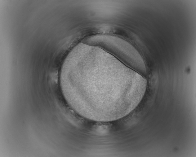 X0000111160368200907211232