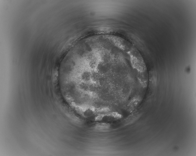 X0000111160369200907211232