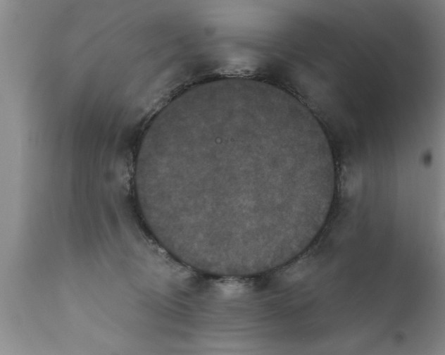 X0000111160370200907211232