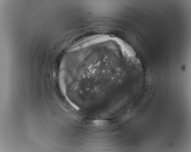 X0000111160371200907211232