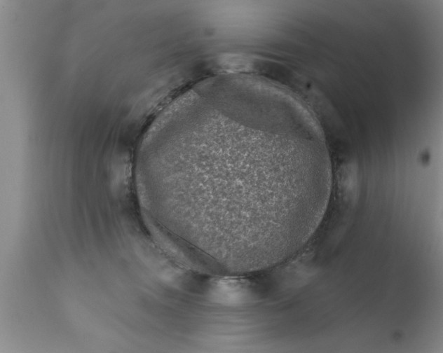 X0000111160372200907211232