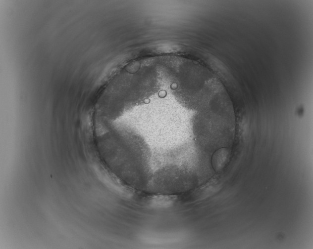 X0000111160373200907211232