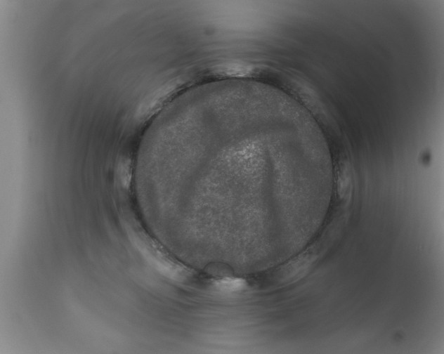 X0000111160374200907211232