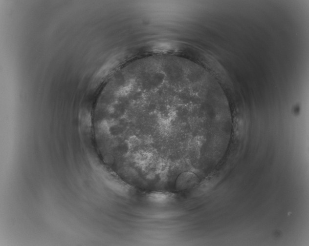 X0000111160375200907211232