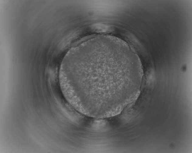 X0000111160376200907211232