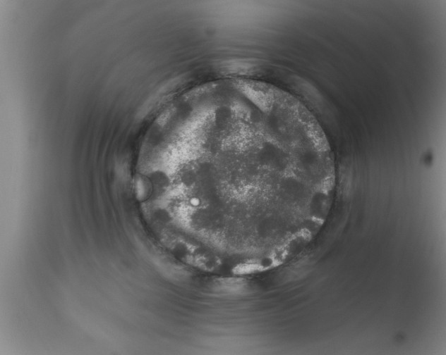 X0000111160377200907211232