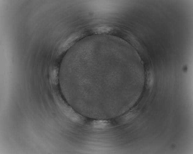 X0000111160378200907211232