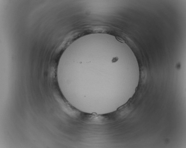 X0000111160379200907211232