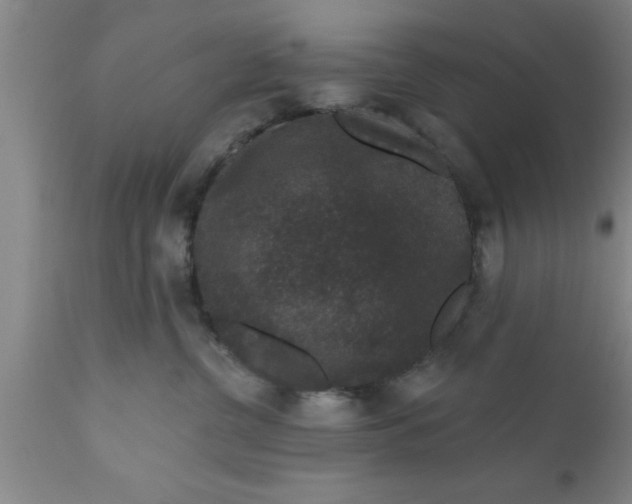 X0000111160380200907211232