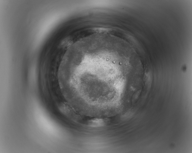 X0000111160381200907211232