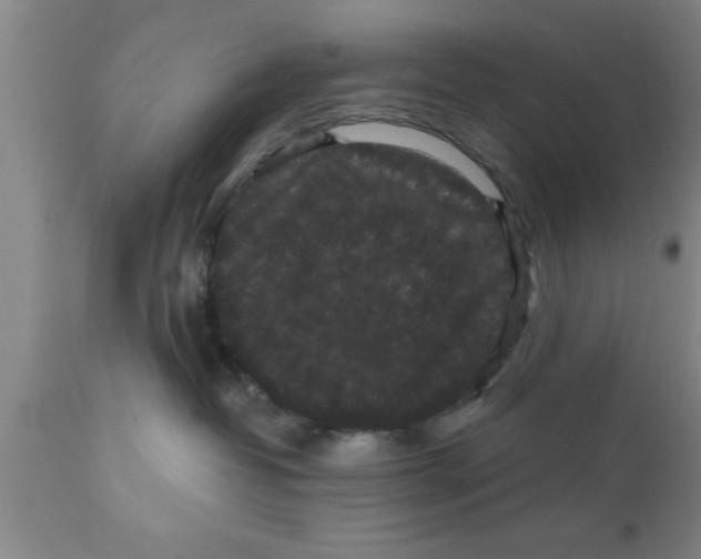 X0000111160382200907211232