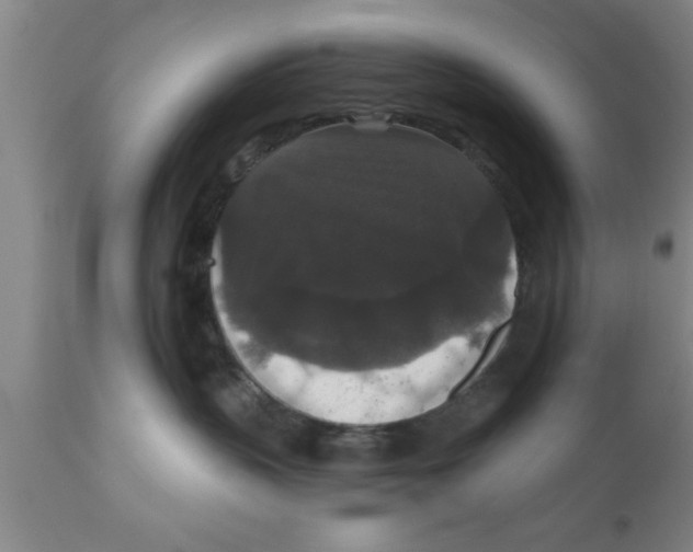 X0000111160383200907211233