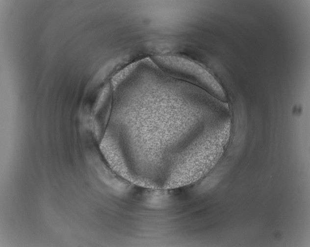 X0000111160384200907211233