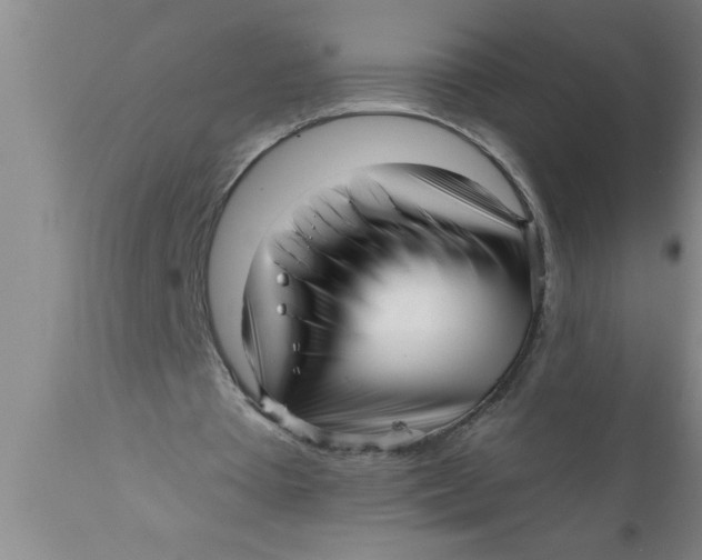 X0000111160385200907211232