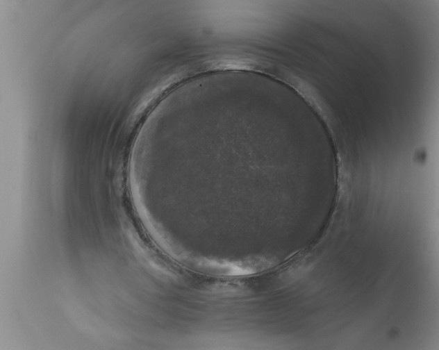 X0000111160386200907211232