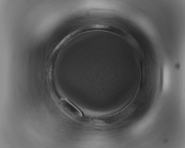 X0000111160387200907211232