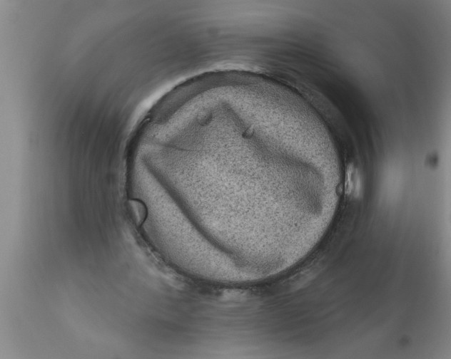 X0000111160388200907211232