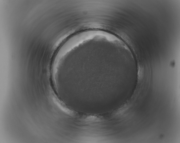 X0000111160390200907211232