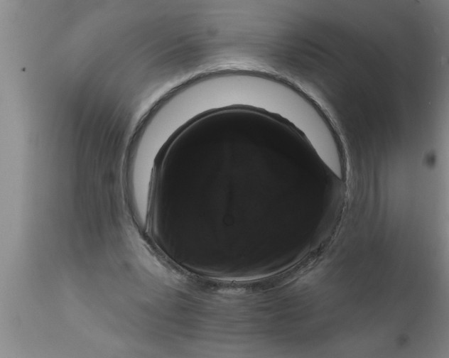 X0000111160391200907211232