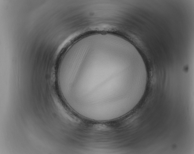 X0000111160392200907211232