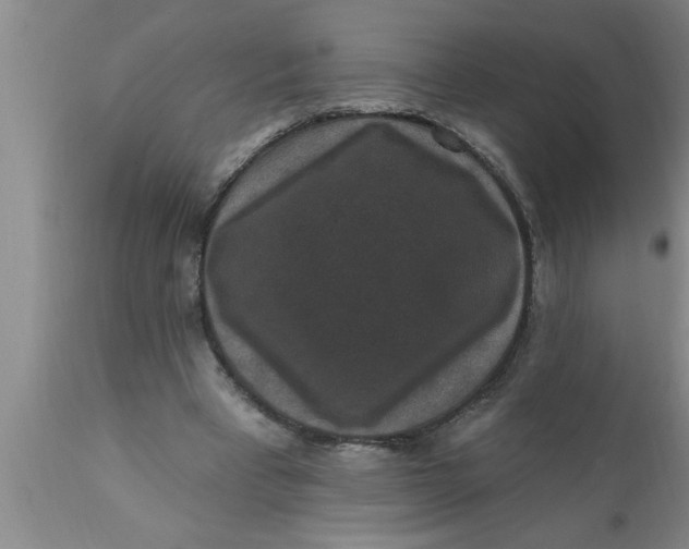 X0000111160393200907211232