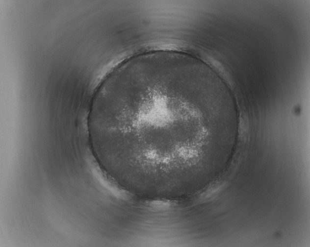 X0000111160394200907211232