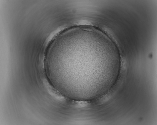 X0000111160395200907211232