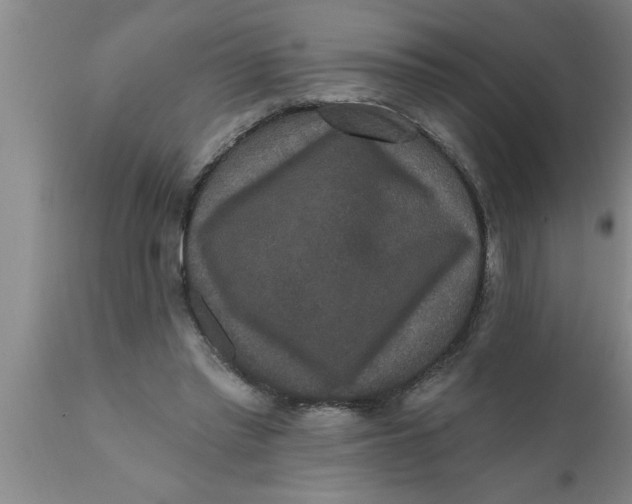 X0000111160397200907211232