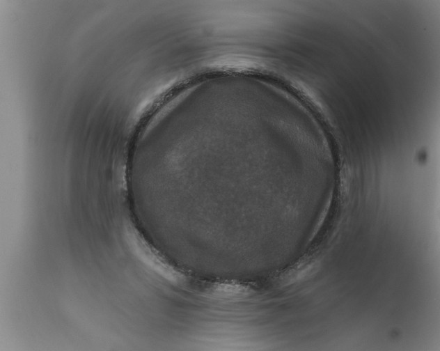 X0000111160399200907211232