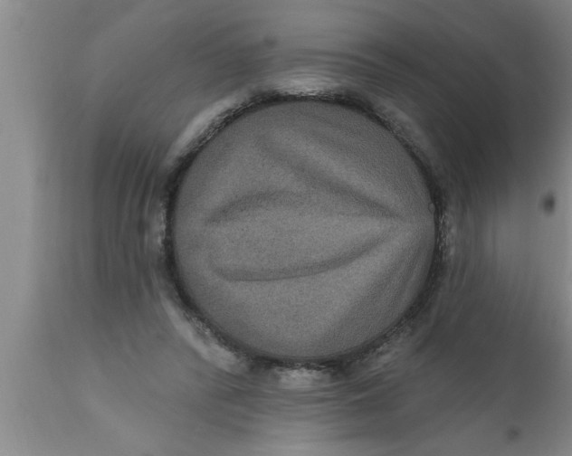 X0000111160400200907211232