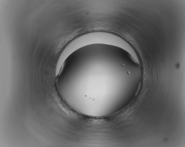 X0000111160401200907211232