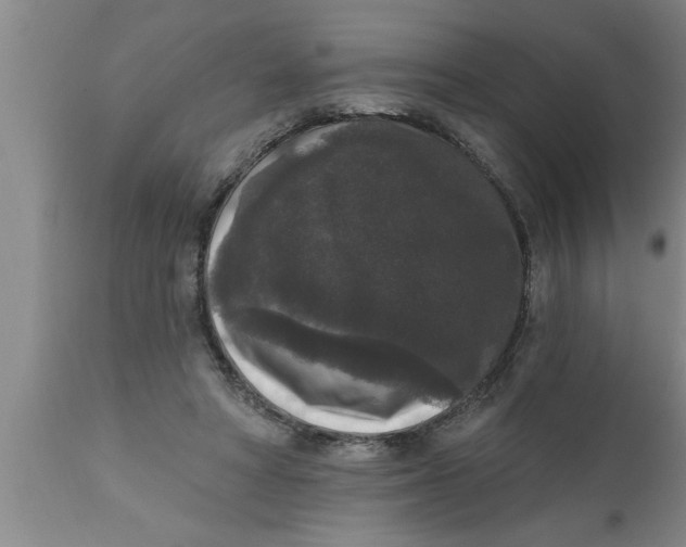 X0000111160402200907211232