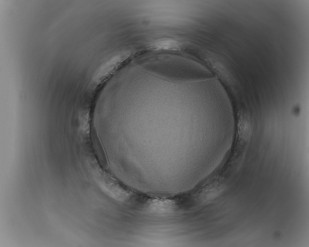 X0000111160403200907211232