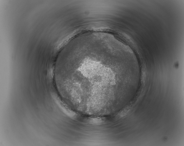 X0000111160405200907211231