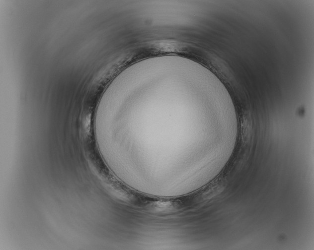 X0000111160406200907211231